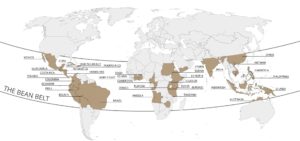 cinturón-países-café