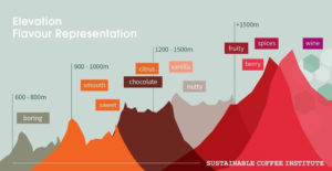 altitudes-crecimiento-café